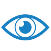 Vision